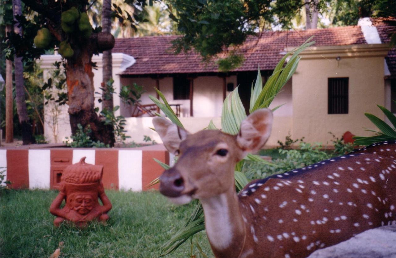 Indeco Hotels Swamimalai Kumbakonam Zewnętrze zdjęcie